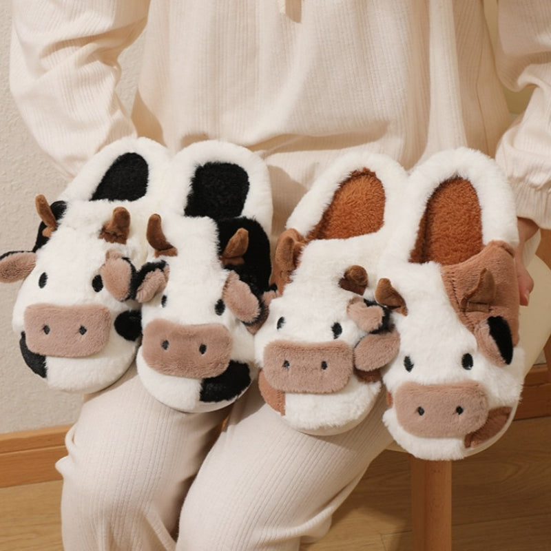 Cow Slides