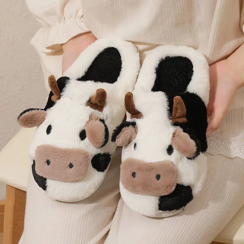 Cow Slides