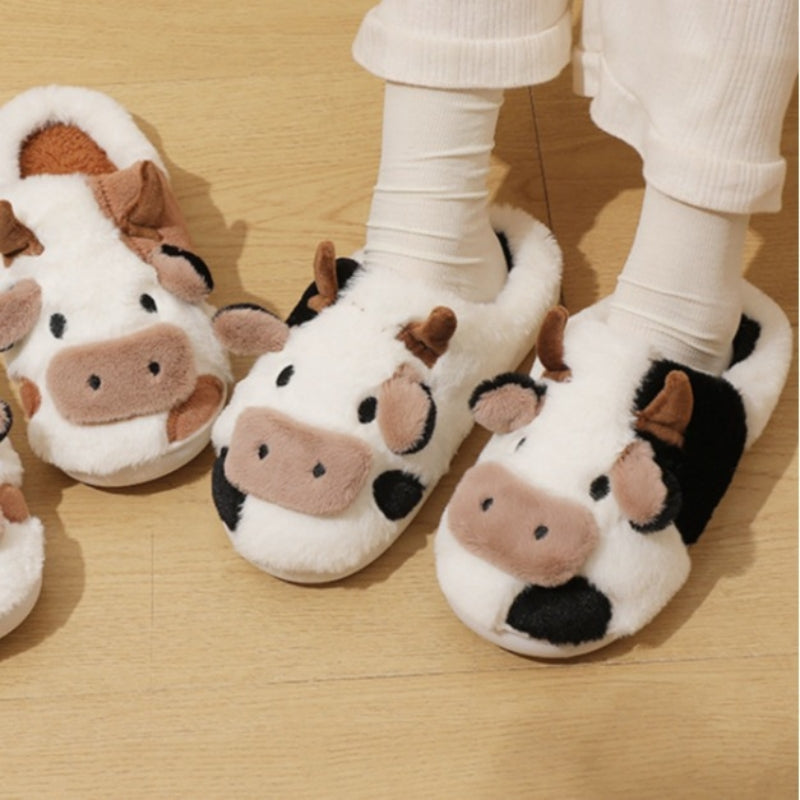 Cow Slides