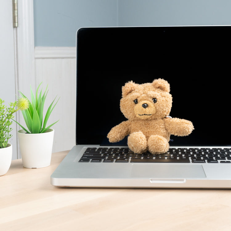 TEDDY BEAR AIRPOD CASE