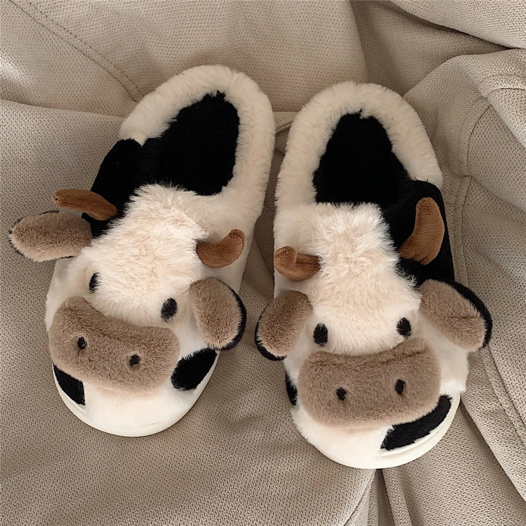 Cow Slides