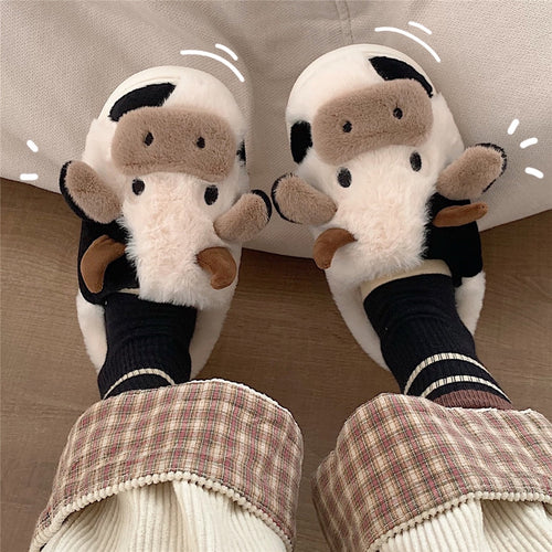 Cow Slides