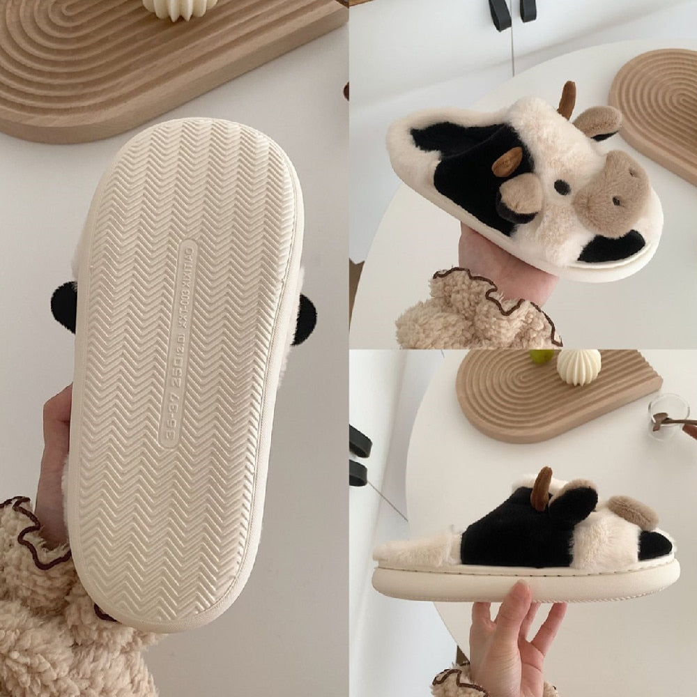 Cow Slides
