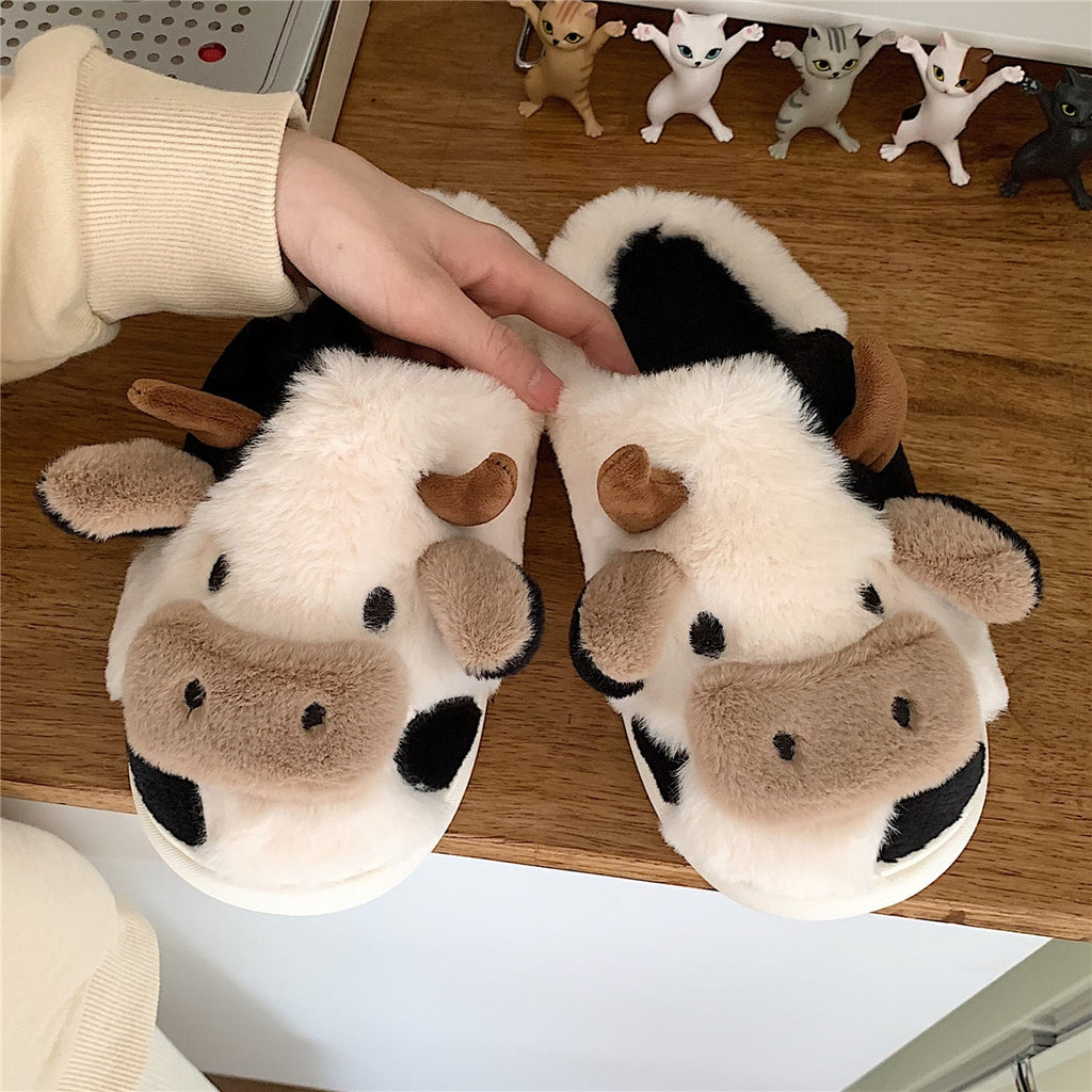 Cow Slides