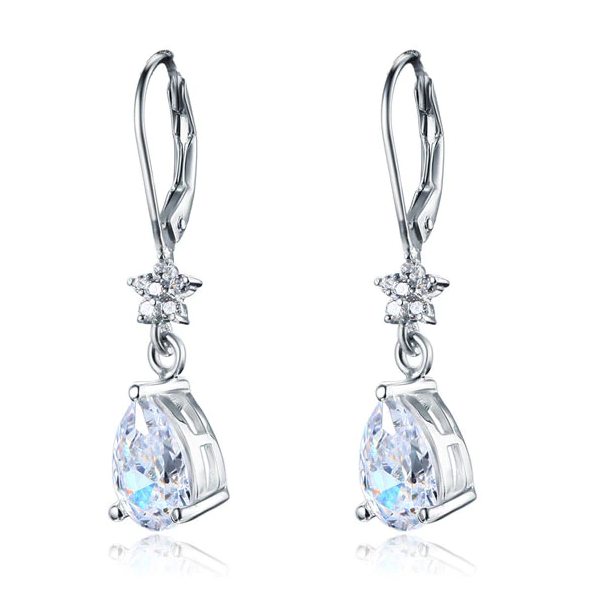 Stylish Elegant Dangle Silver Earrings