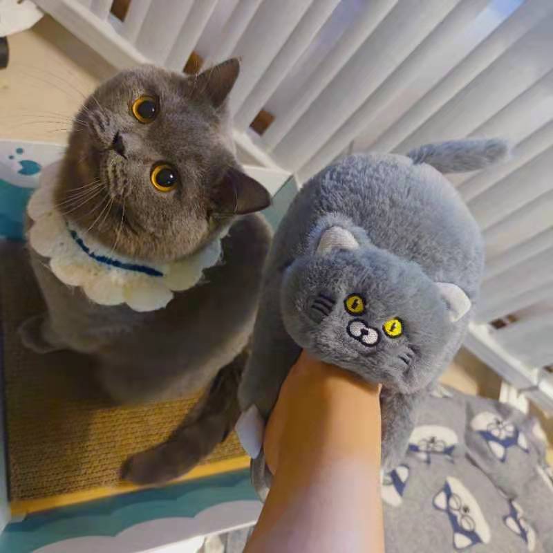 Hug Cat Slippers