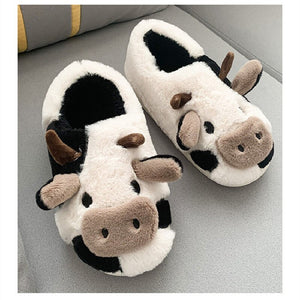 Cow Slides